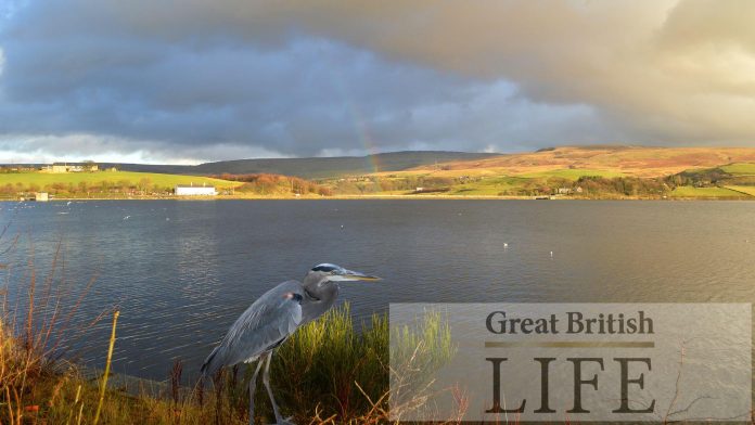 Why you should move to Rochdale
